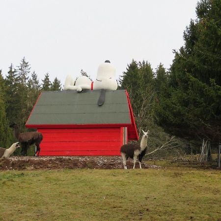 Haus Antonis Lejlighed Triberg im Schwarzwald Eksteriør billede