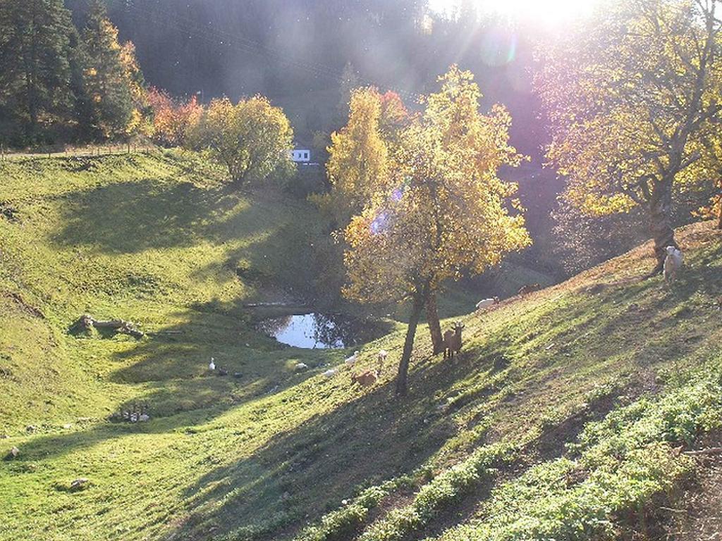 Haus Antonis Lejlighed Triberg im Schwarzwald Eksteriør billede