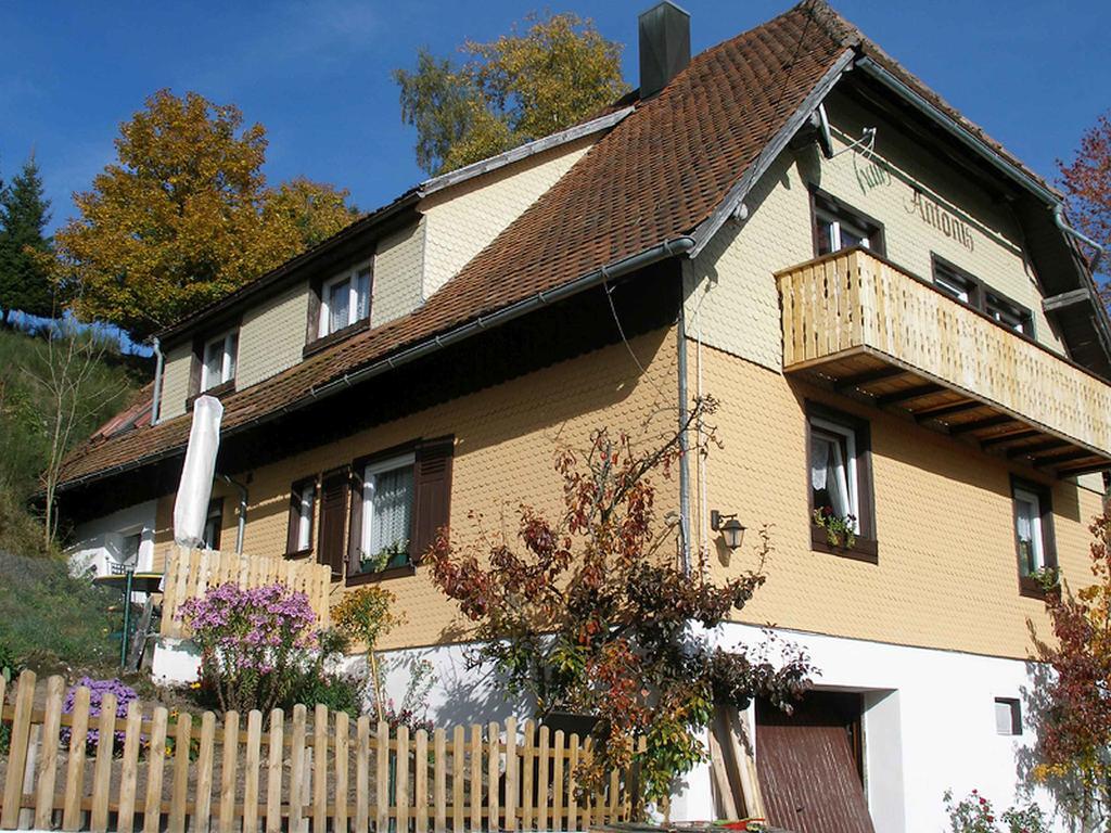 Haus Antonis Lejlighed Triberg im Schwarzwald Eksteriør billede