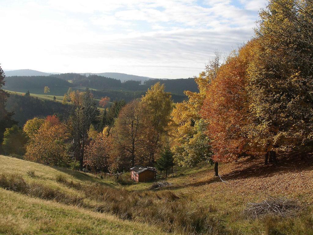 Haus Antonis Lejlighed Triberg im Schwarzwald Eksteriør billede