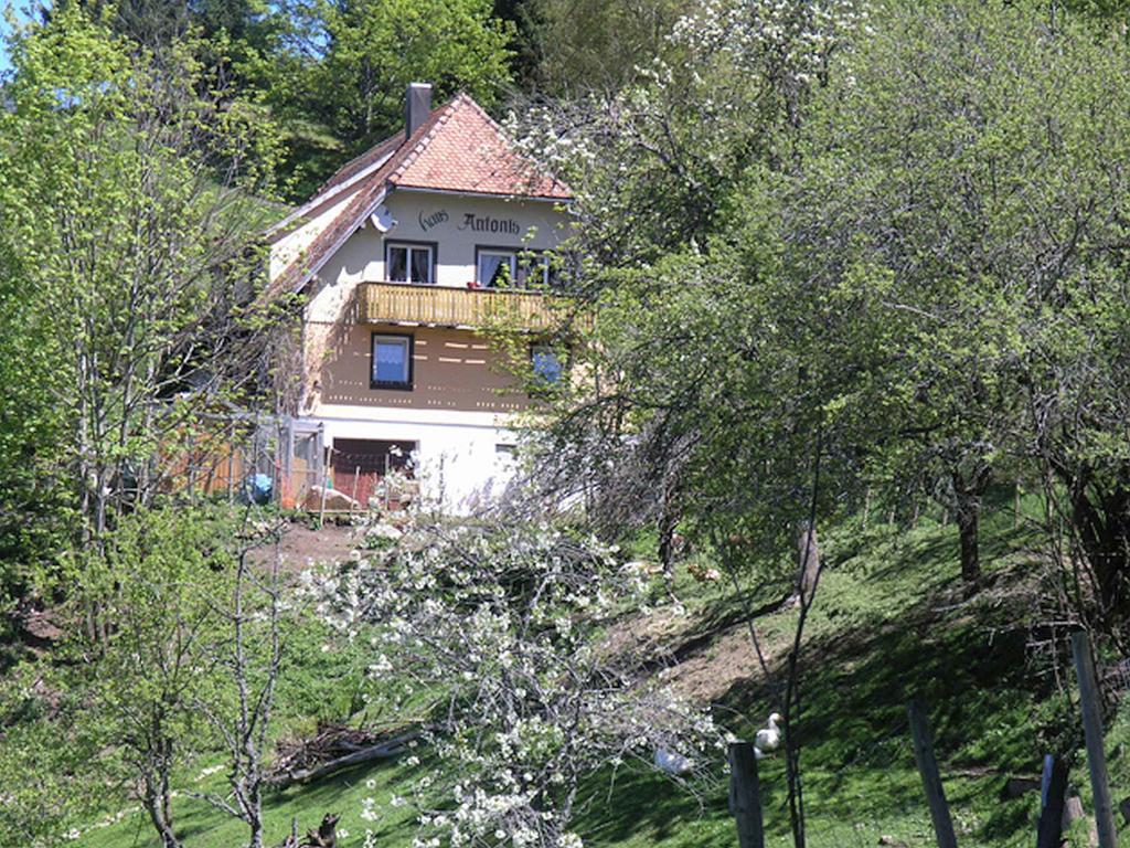 Haus Antonis Lejlighed Triberg im Schwarzwald Eksteriør billede