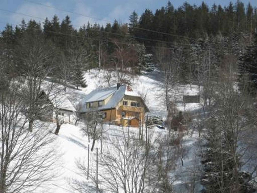 Haus Antonis Lejlighed Triberg im Schwarzwald Eksteriør billede