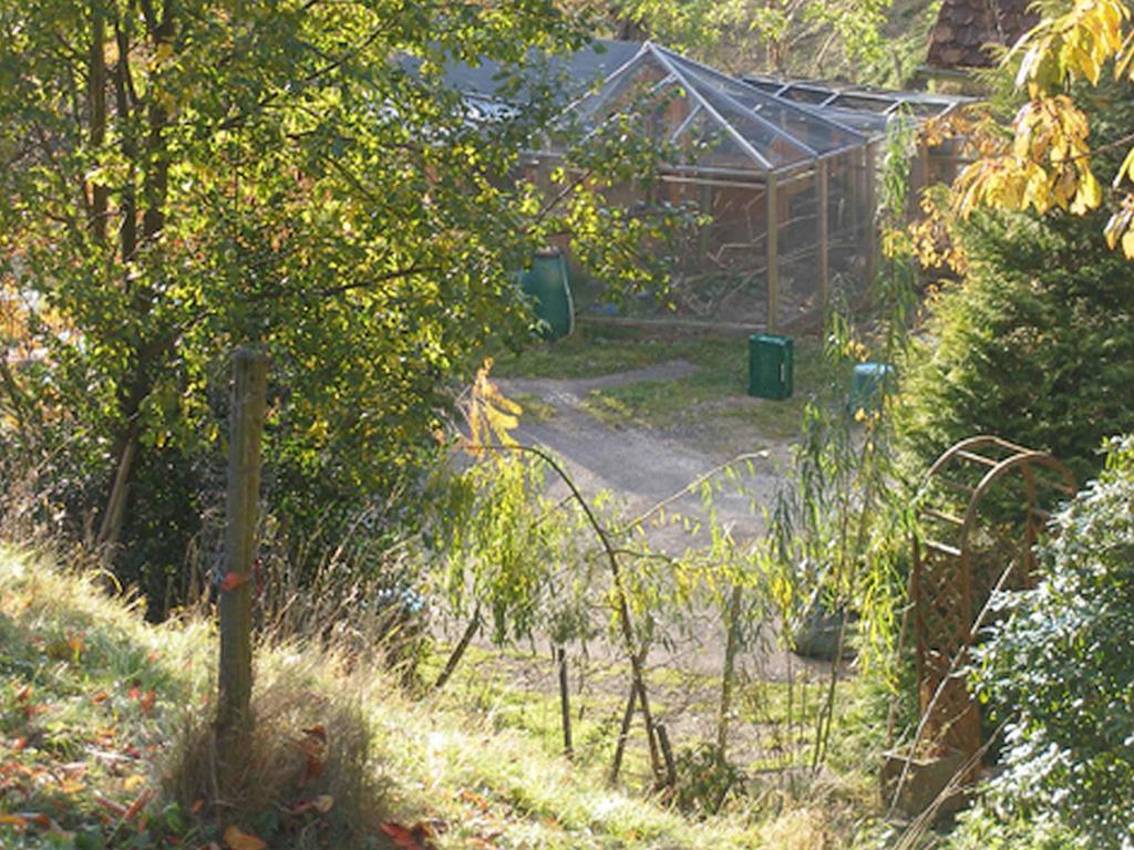 Haus Antonis Lejlighed Triberg im Schwarzwald Eksteriør billede