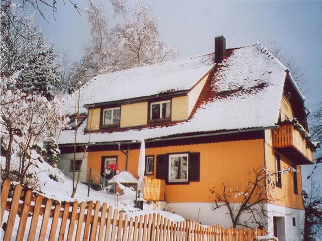 Haus Antonis Lejlighed Triberg im Schwarzwald Eksteriør billede
