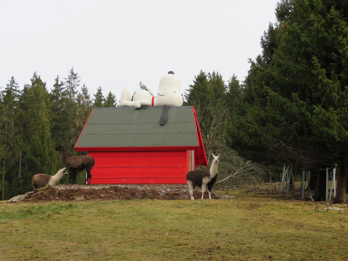Haus Antonis Lejlighed Triberg im Schwarzwald Eksteriør billede