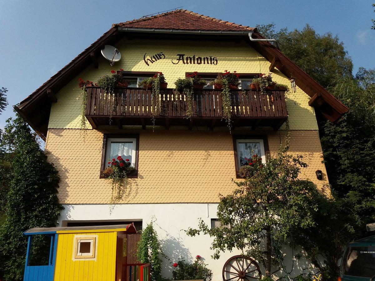 Haus Antonis Lejlighed Triberg im Schwarzwald Eksteriør billede