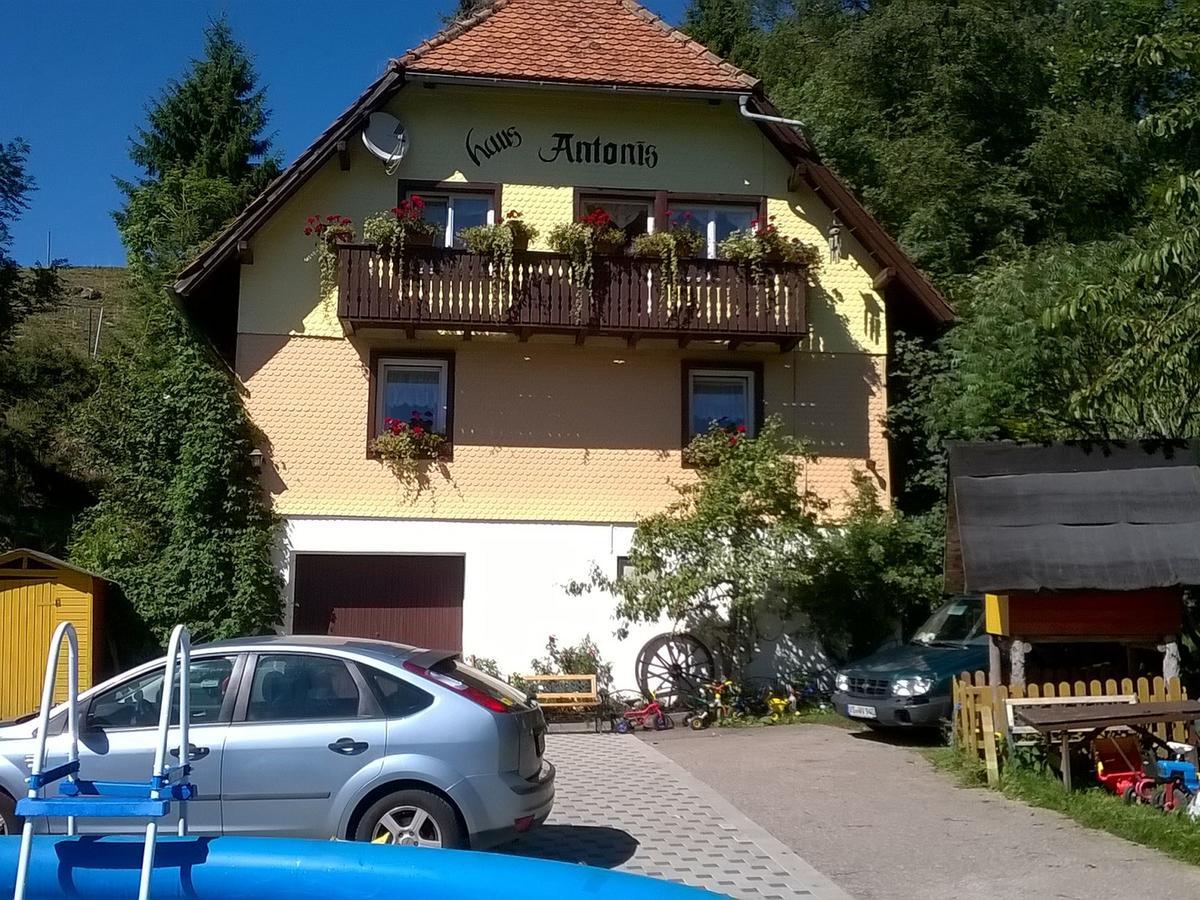 Haus Antonis Lejlighed Triberg im Schwarzwald Eksteriør billede