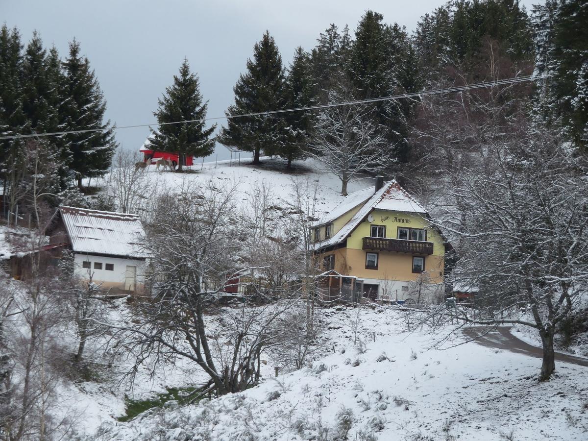 Haus Antonis Lejlighed Triberg im Schwarzwald Eksteriør billede